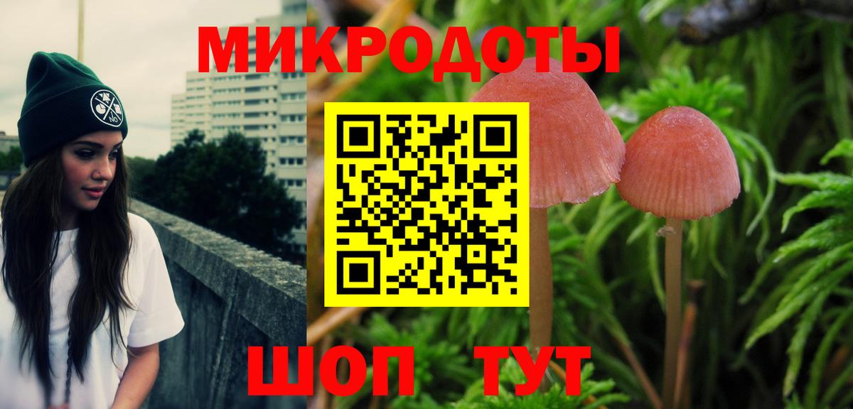 как найти закладки  Вход с VPN  Ртищево  Псилоцибиновые грибы Psilocybe  Галлюциногенные грибы ЛСД 